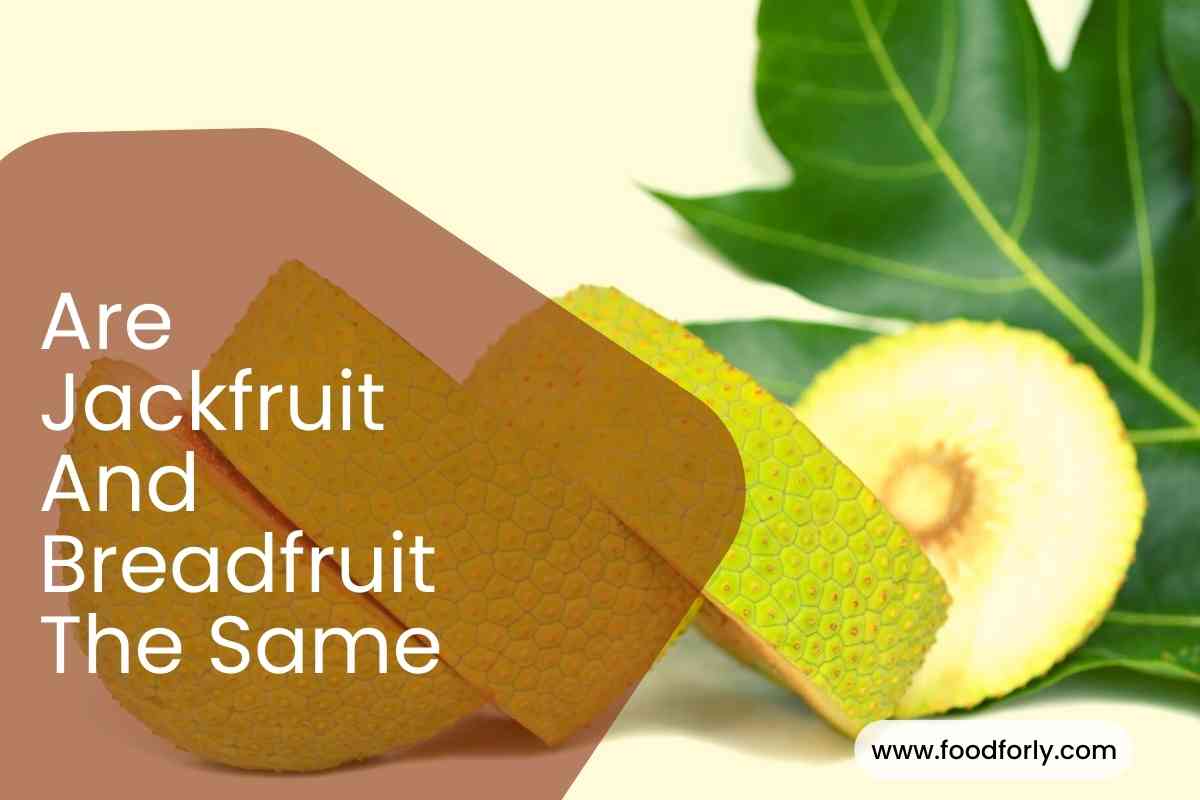 Are Jackfruit And Breadfruit The Same