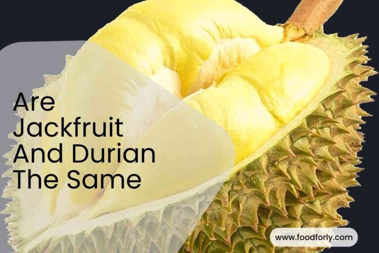 Are Jackfruit And Durian The Same