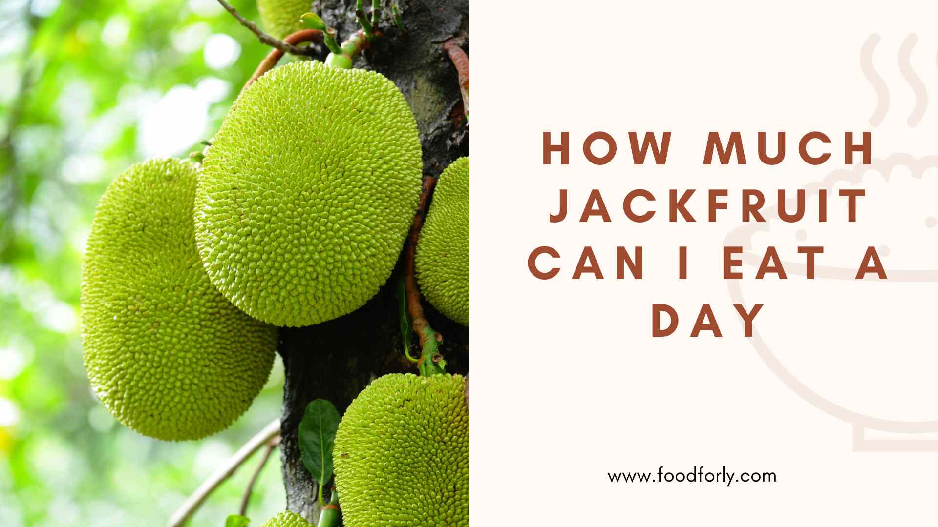 How Much Jackfruit Can I Eat A Day