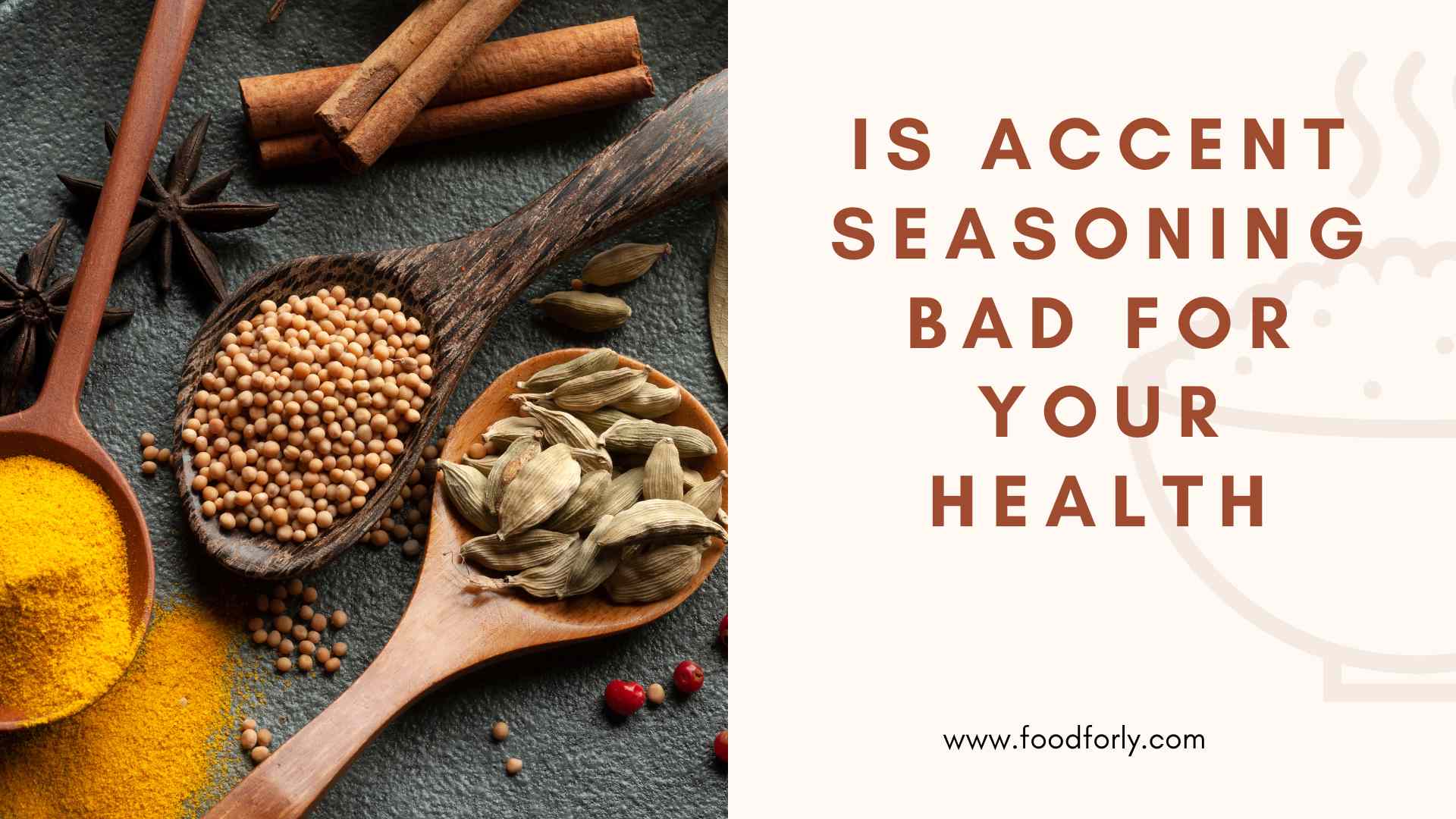 Is Accent Seasoning Bad For Your Health