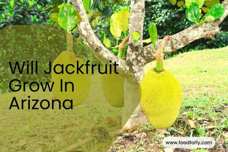 Will Jackfruit Grow In Arizona