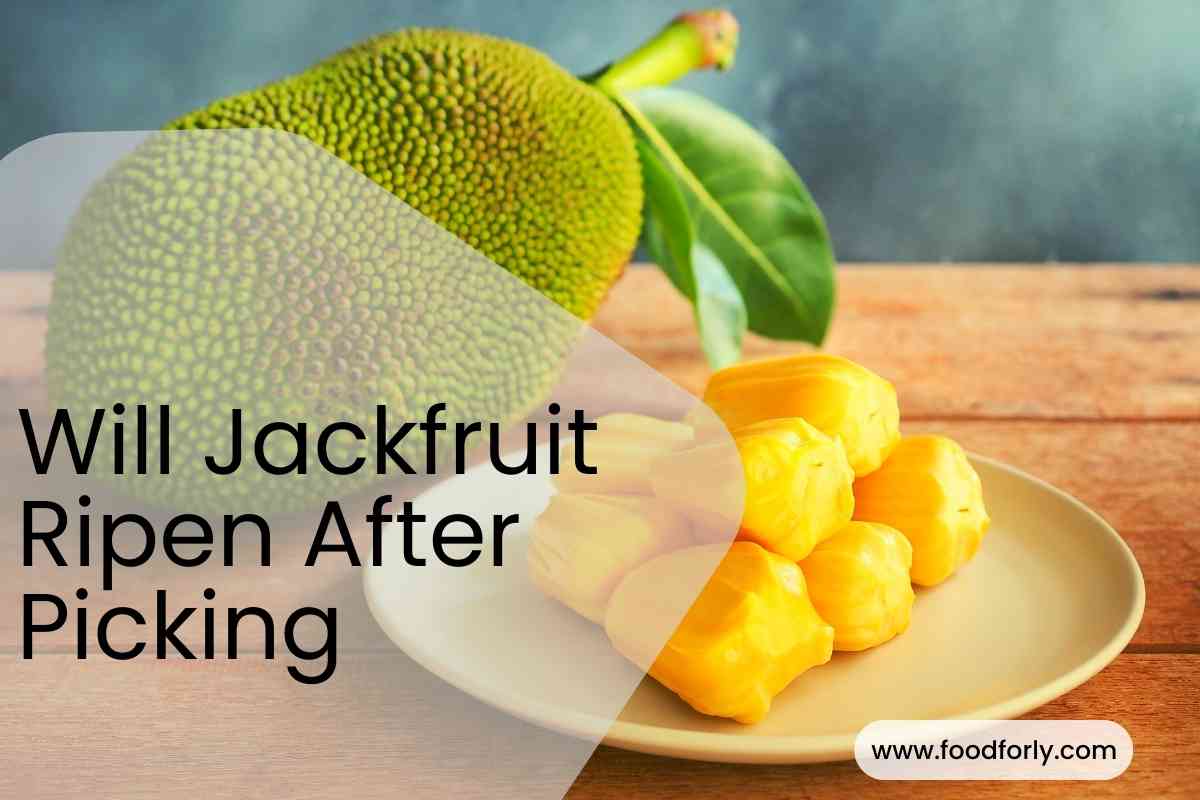 Will Jackfruit Ripen After Picking