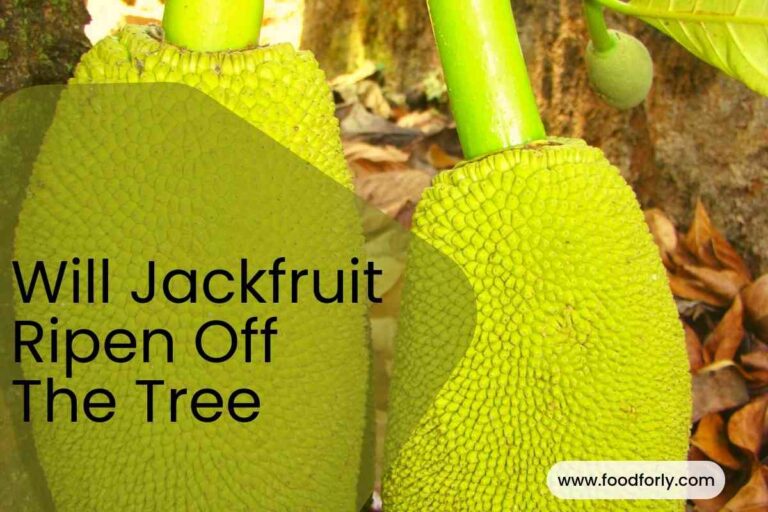 Will Jackfruit Ripen Off The Tree