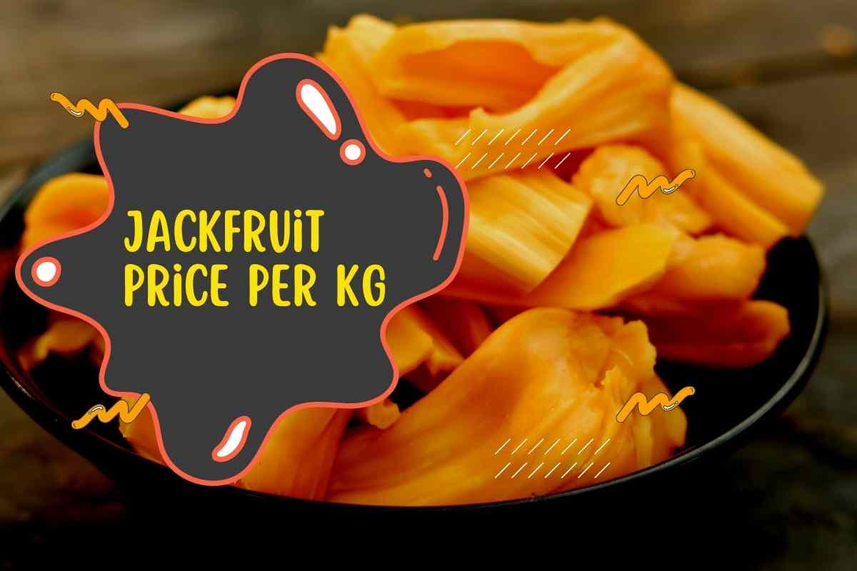 Jackfruit Price Per Kg