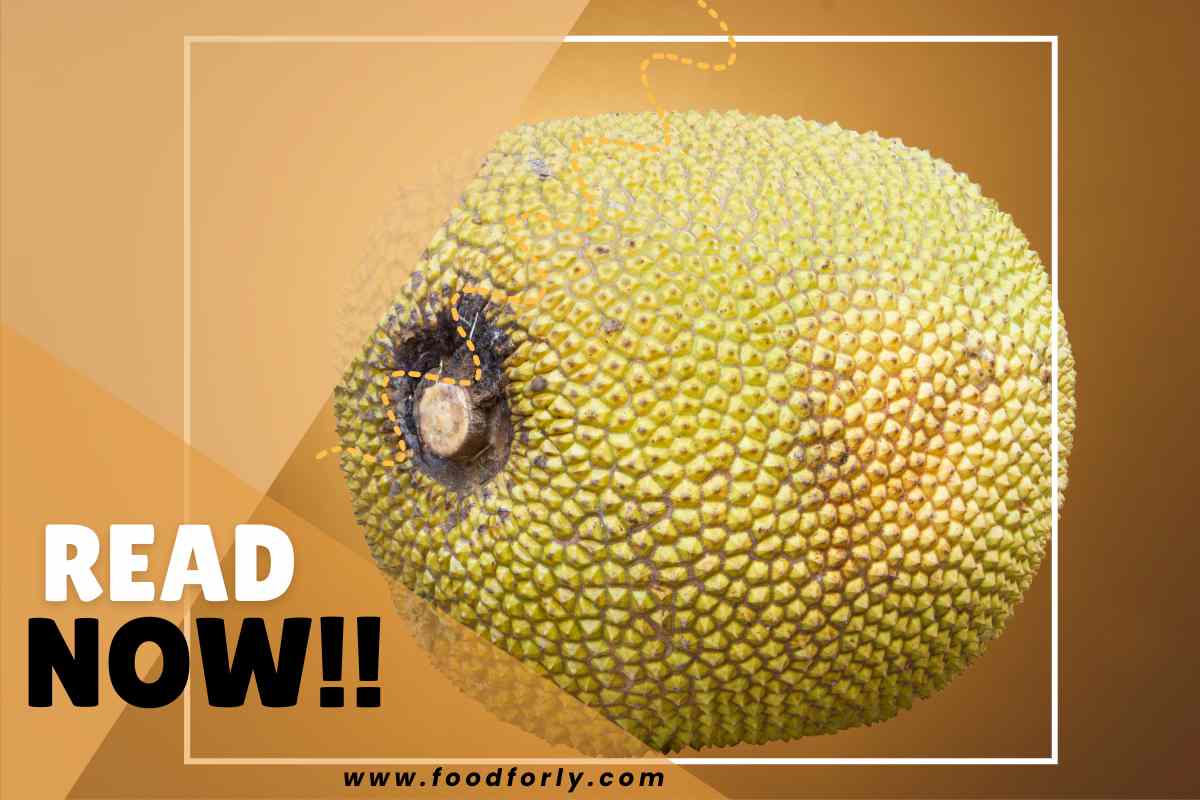 How Do You Know If A Jackfruit Is Ripe