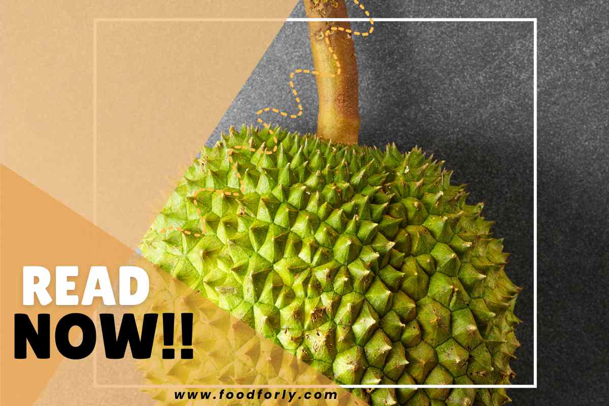 Durian Breadfruit Jackfruit