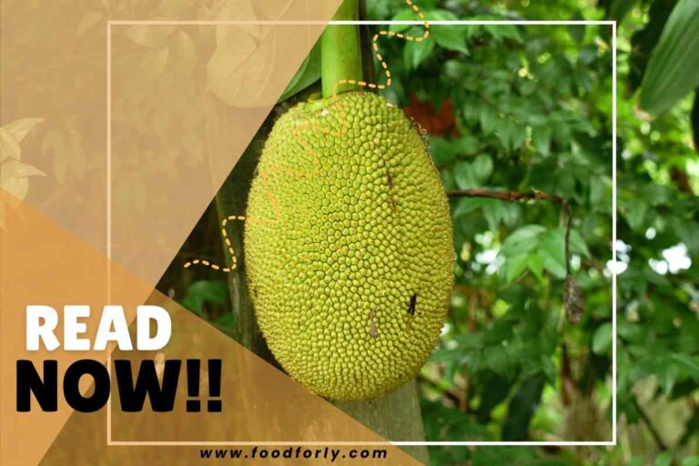 Jackfruit Ripeness