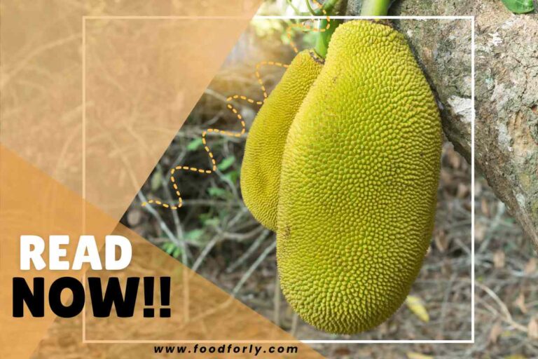 Jackfruit Ripening Time