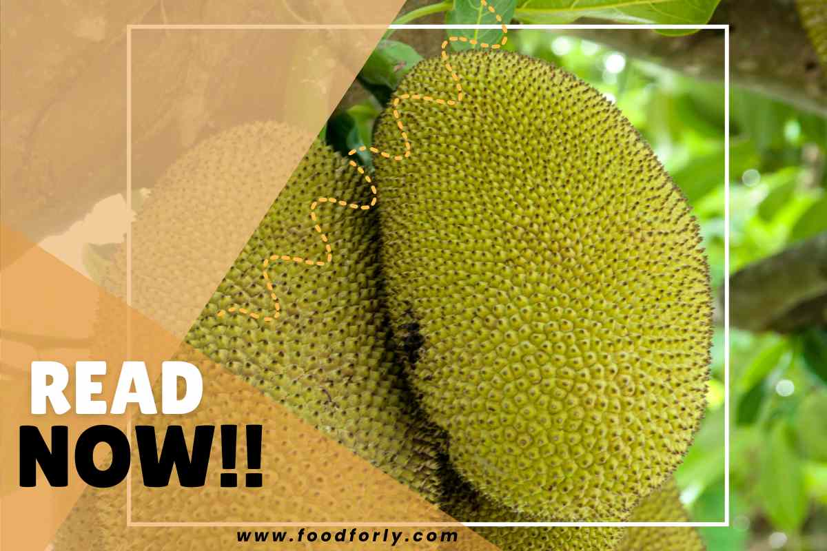 How To Ripen Jackfruit After Cutting