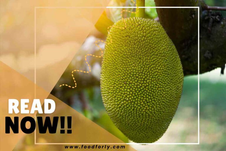 How Much Does A Jackfruit Cost