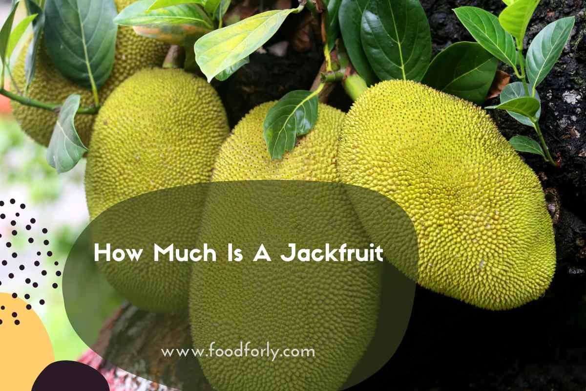 How Much Is A Jackfruit