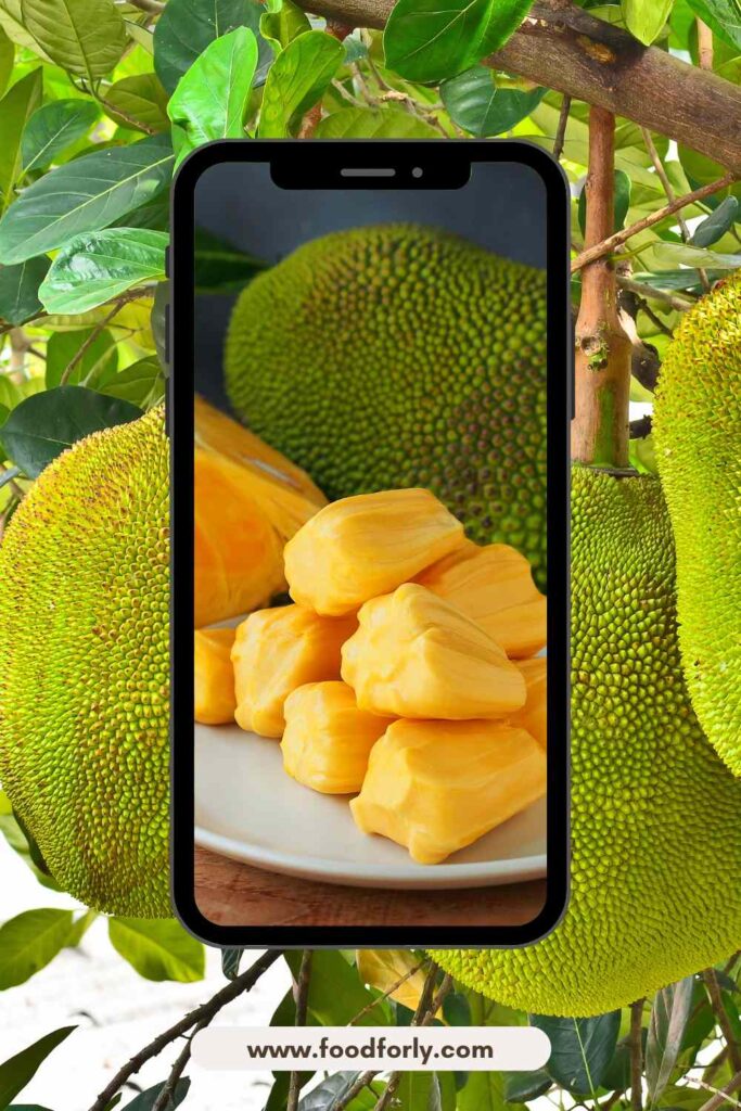 How Much Is A Jackfruit