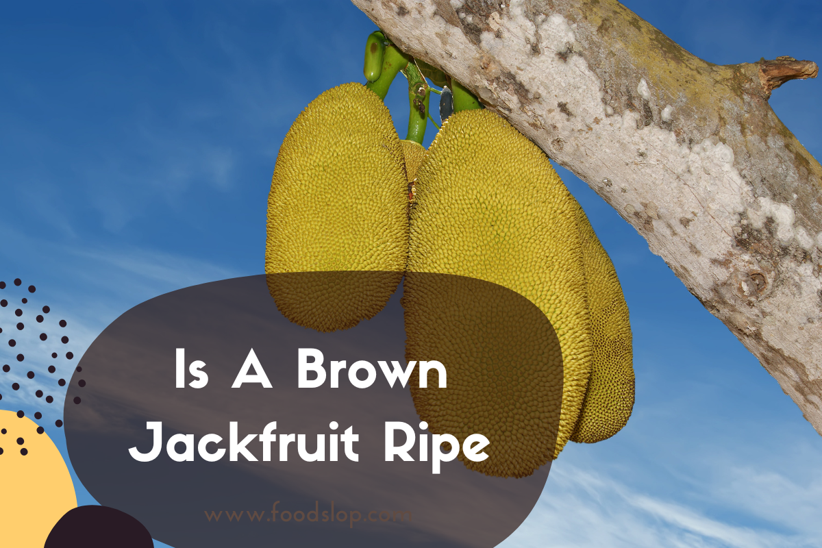 Is A Brown Jackfruit Ripe