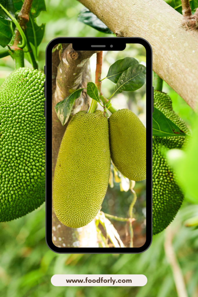 Jackfruit Price