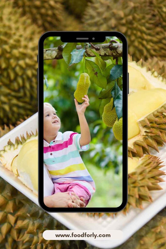 Jackfruit Vs Durian