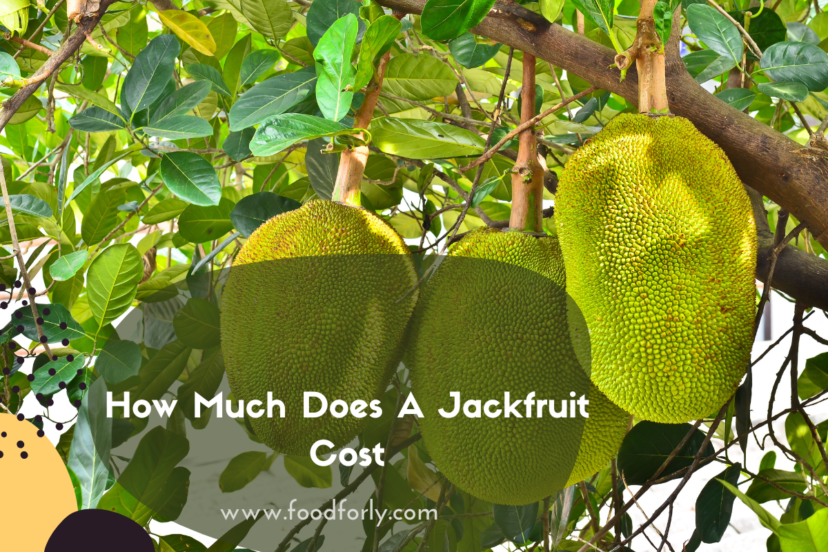 How Much Does A Jackfruit Cost