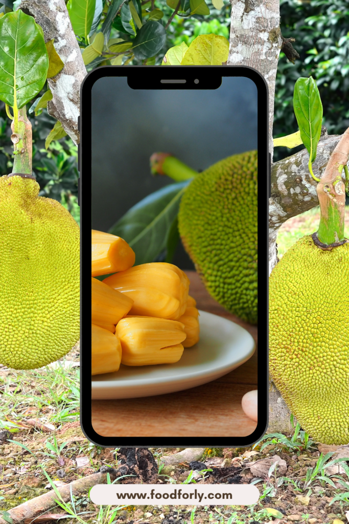 How Much Does A Jackfruit Cost