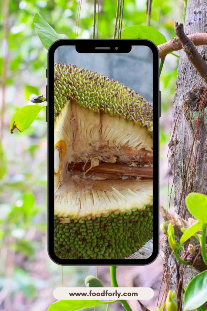 How To Ripen A Jackfruit