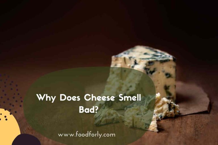 Why Does Cheese Smell Bad?