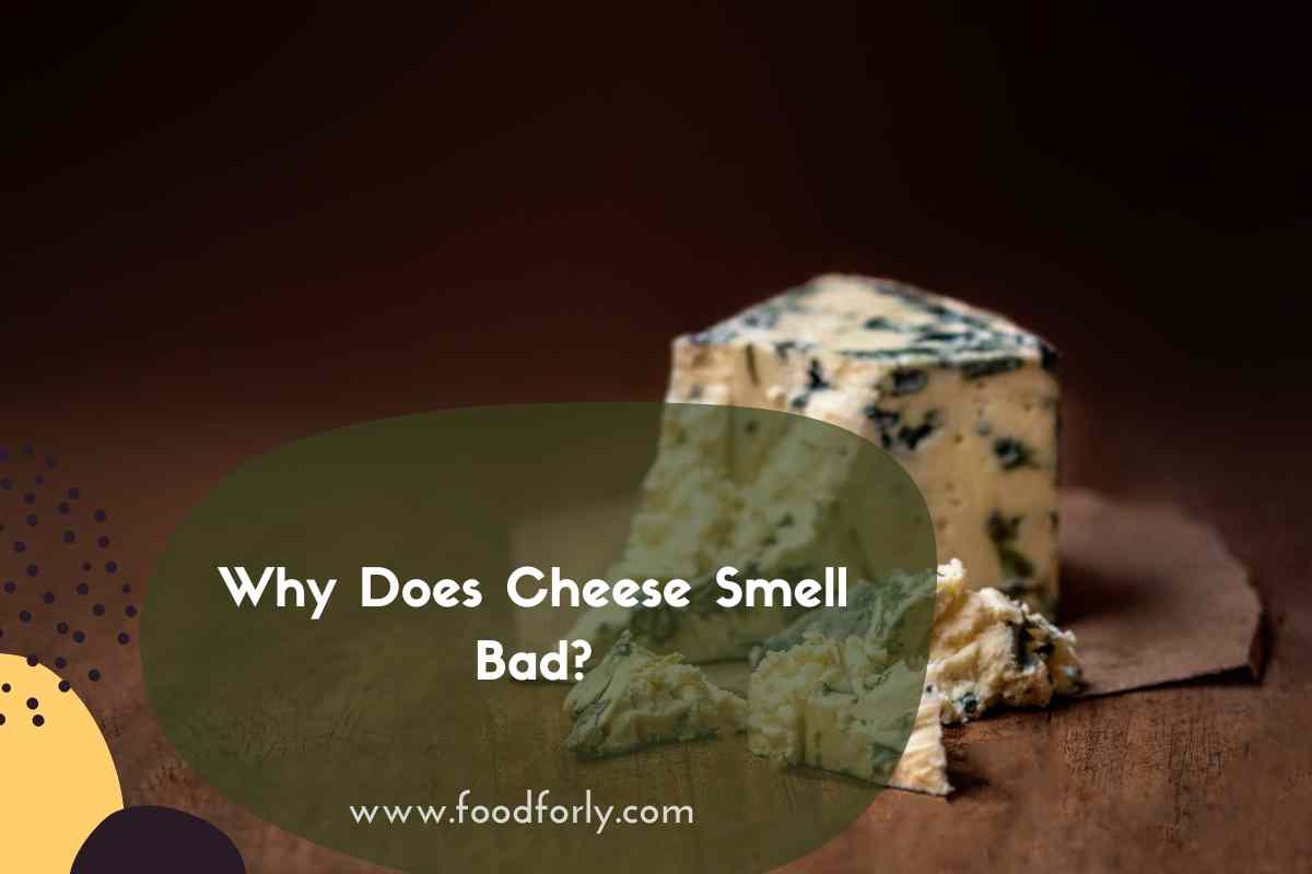 Why Does Cheese Smell Bad?