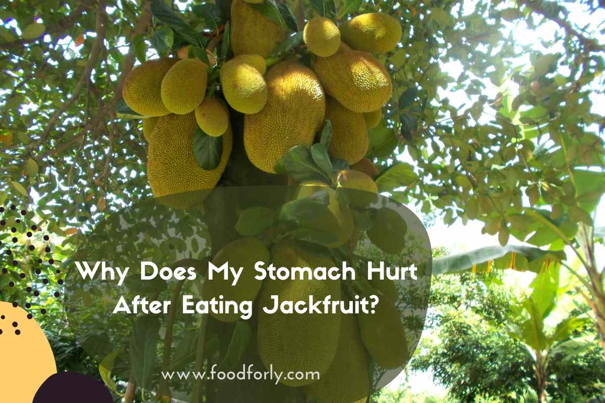 Why Does My Stomach Hurt After Eating Jackfruit?