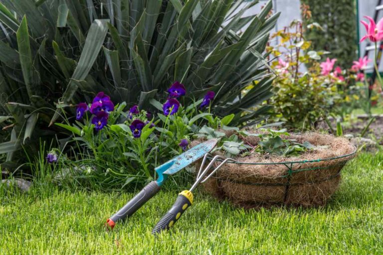 Planter For Bird Of Paradise